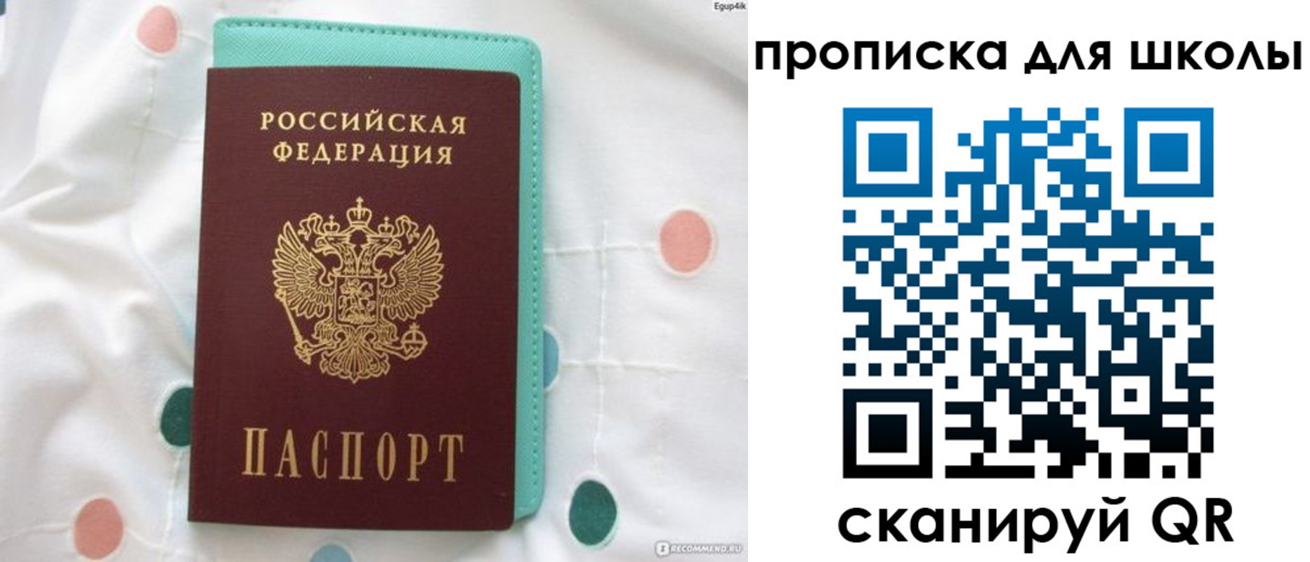 временная регистрация для всех в Ростовской области